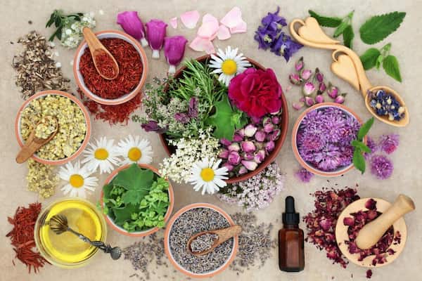 تصویر 5 از قیمت خرید عرق گیاهی چهل گیاه عمده به صرفه و ارزان